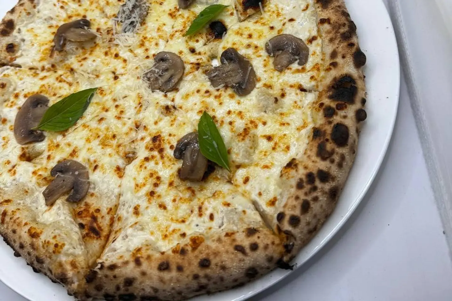 Alfredo Pizza