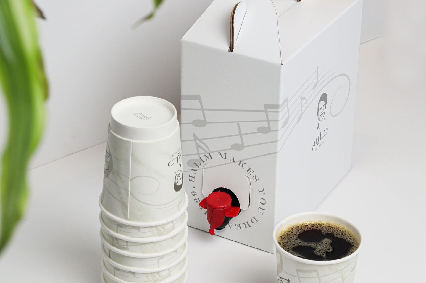 Box Coffee Day Hot