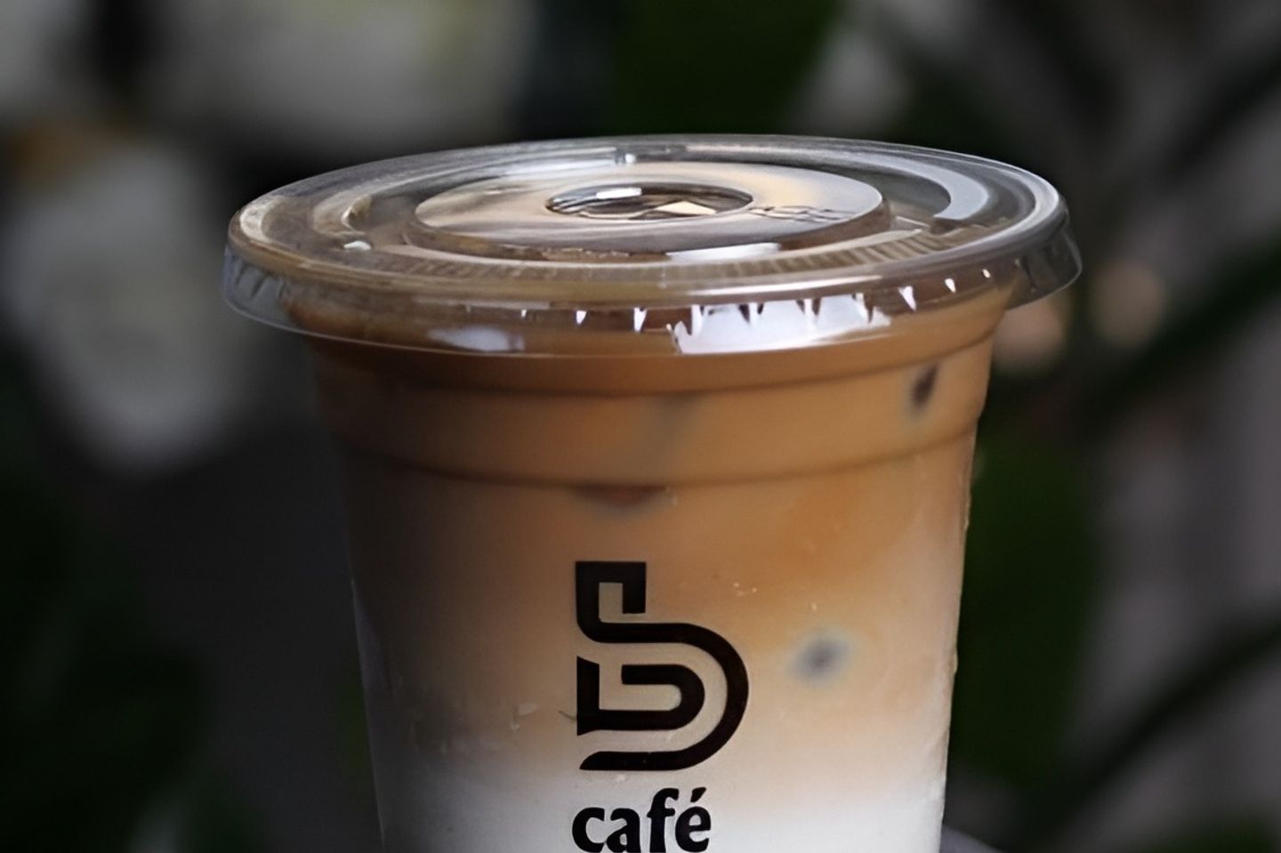 Ice Spanish Latte