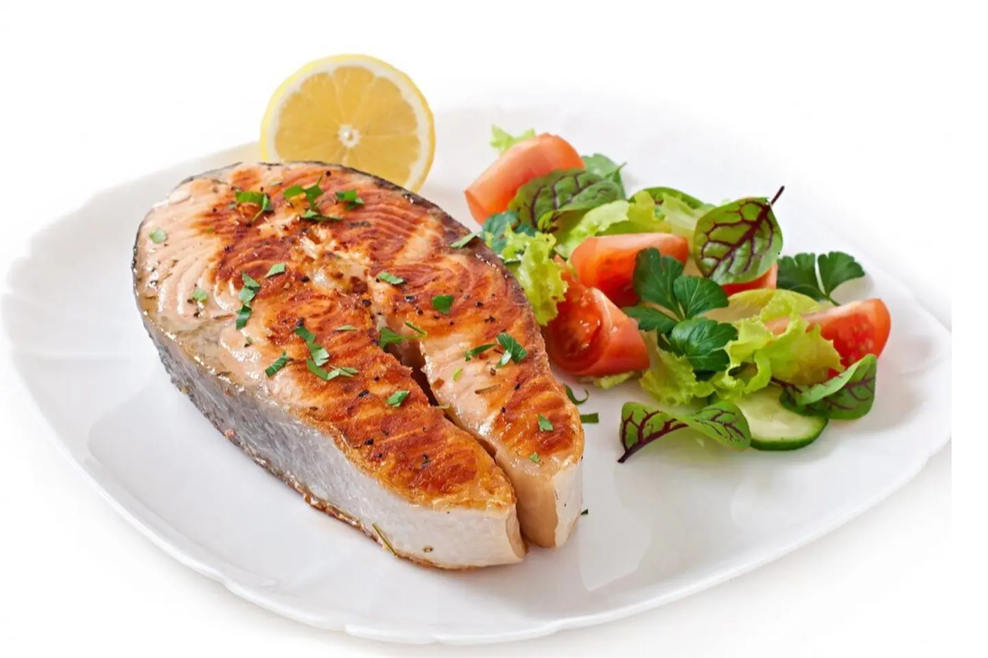 Salmon Fish