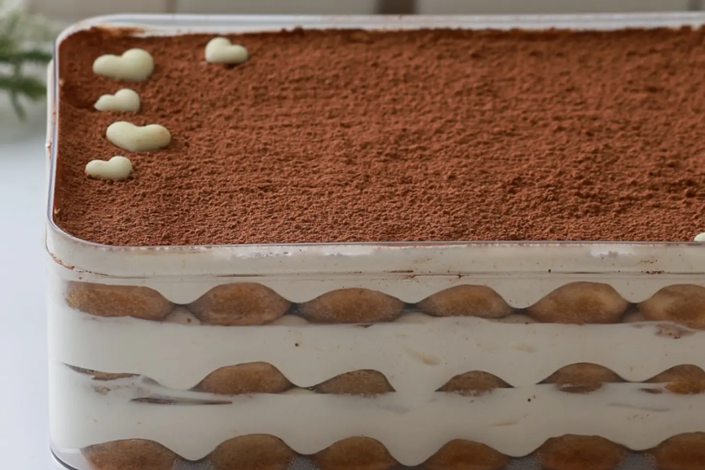 Tiramisu Larg