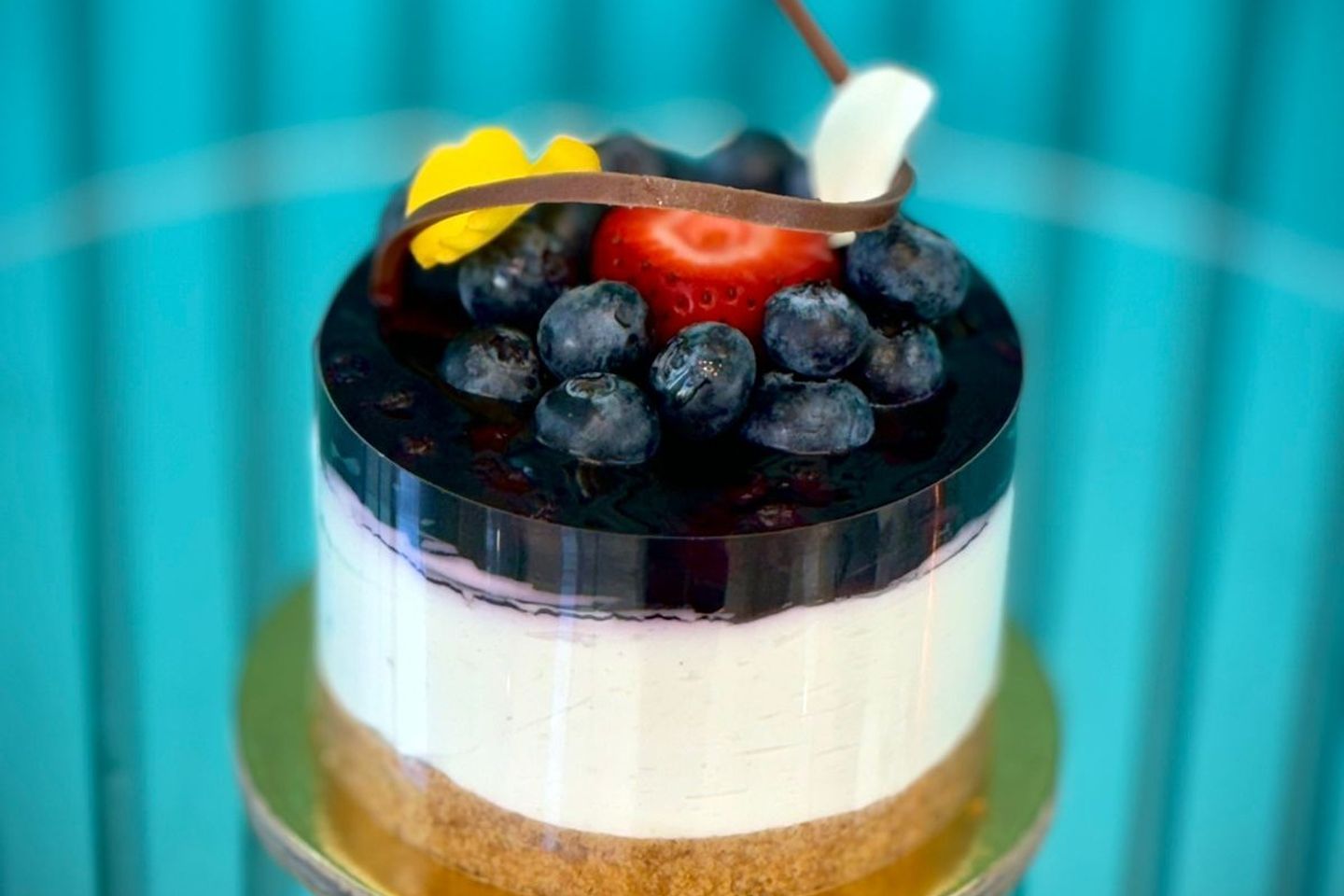 Blueberries Mini Cheesecake