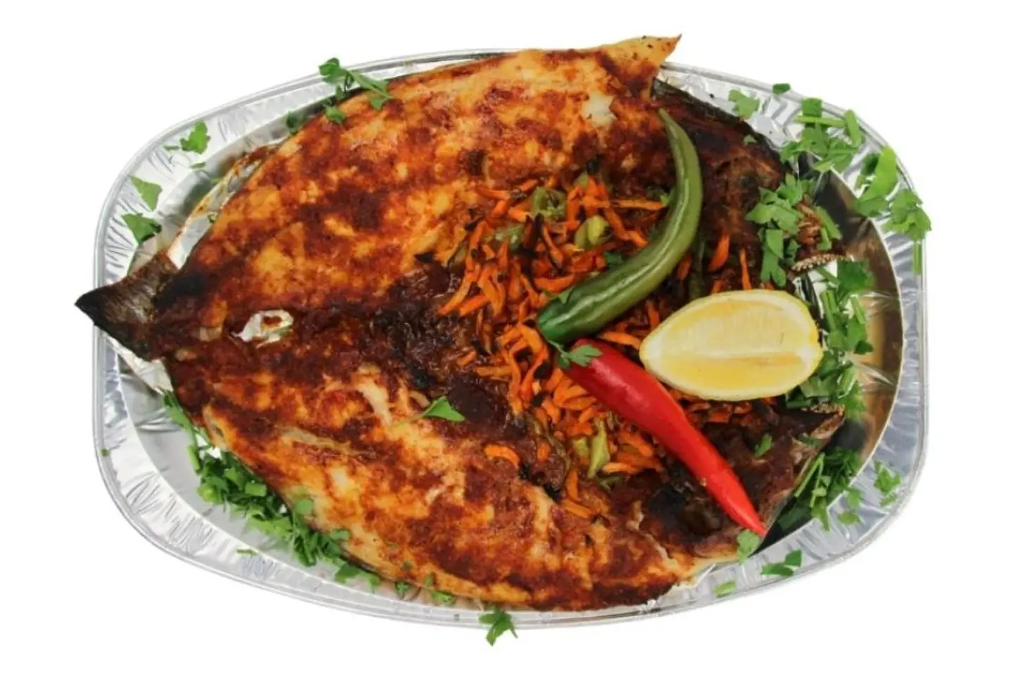 سمك دنيس سنجاري