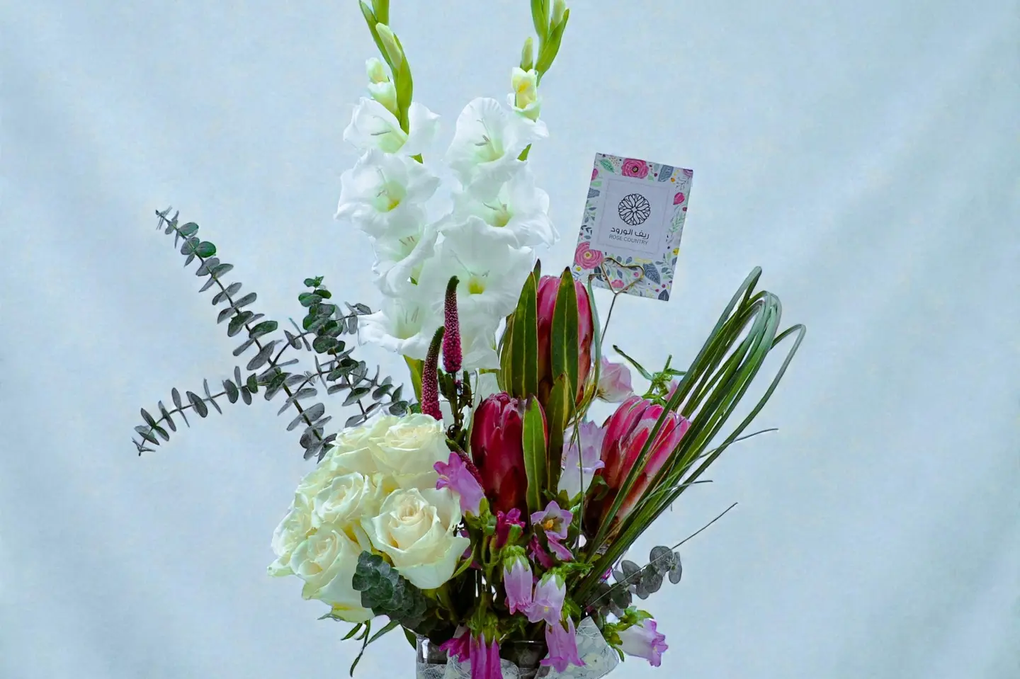 فازة بروتيا