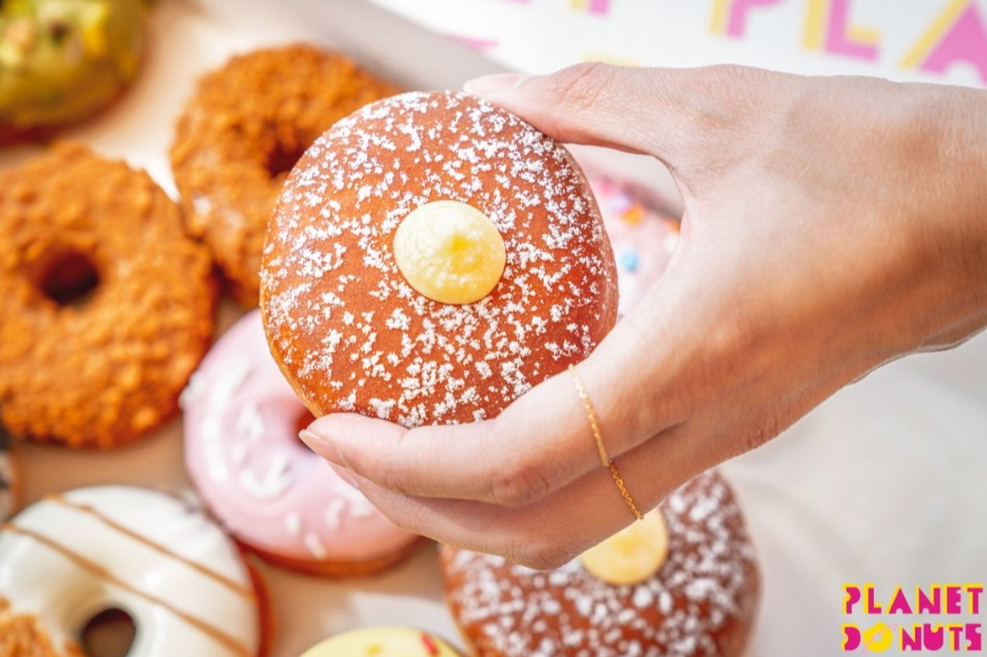 Donuts 6 And 1 Free