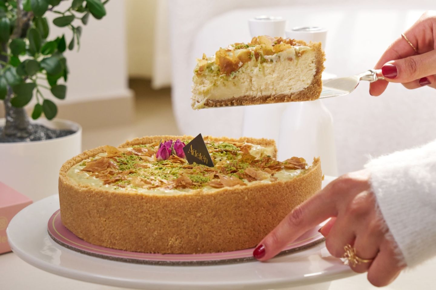 Baklava Cheesecake   Whole Cake