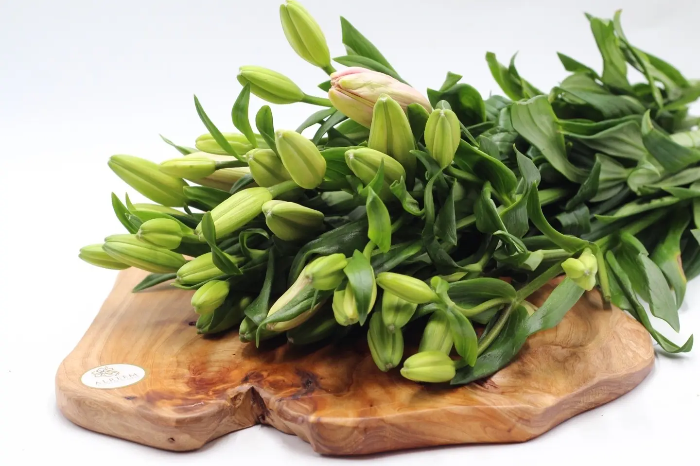 ليليوم بينك