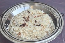 رز ابو جمره ابيض