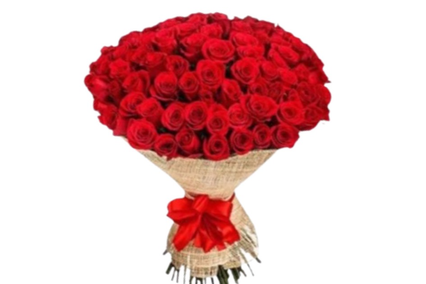 بأناقة - أحمر