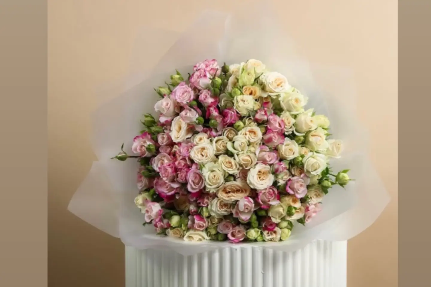 باقة مكس لمسة الالوان الجميله