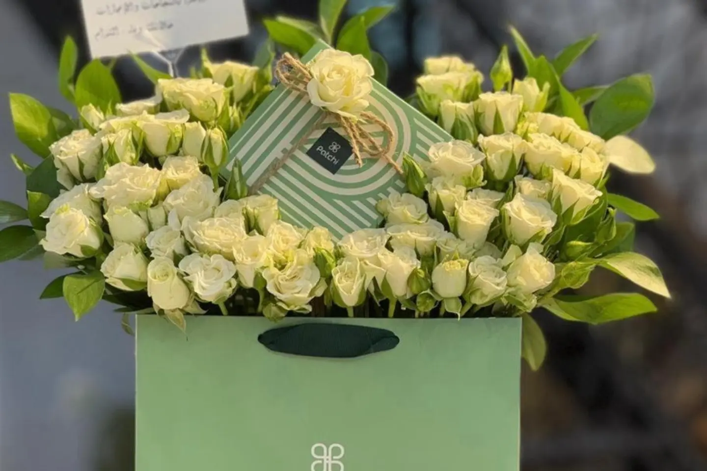 باتشي البياض