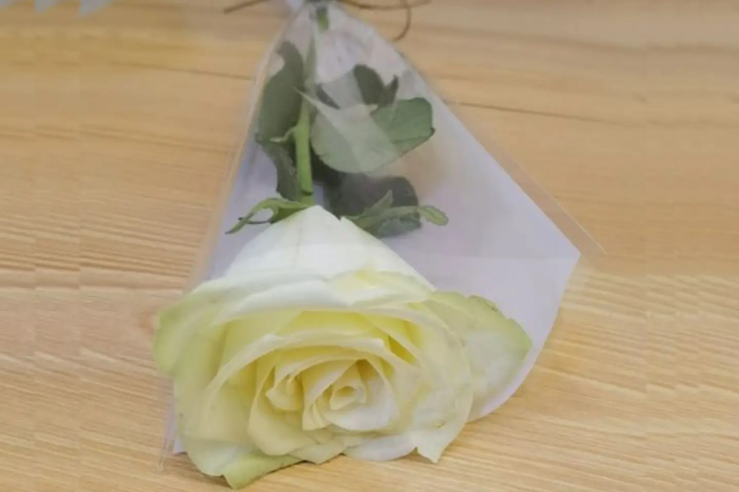 توزيعات بالحبه ابيض