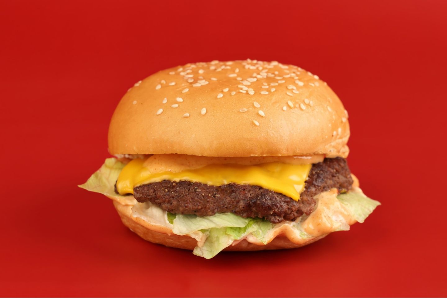 Classic Beef Sandwich