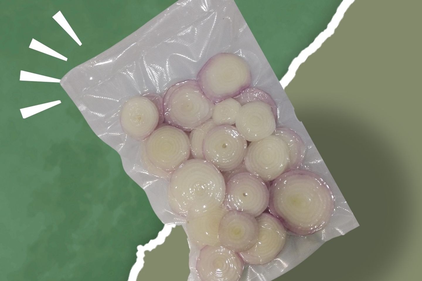 بصل مقطع شرائح