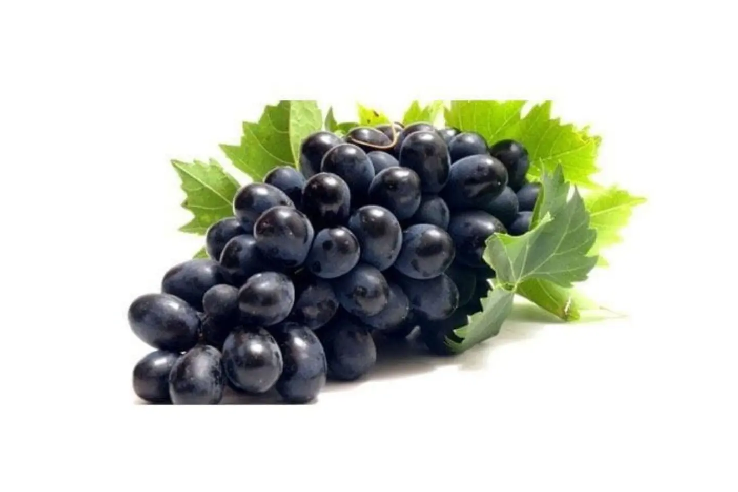 Black Grapes
