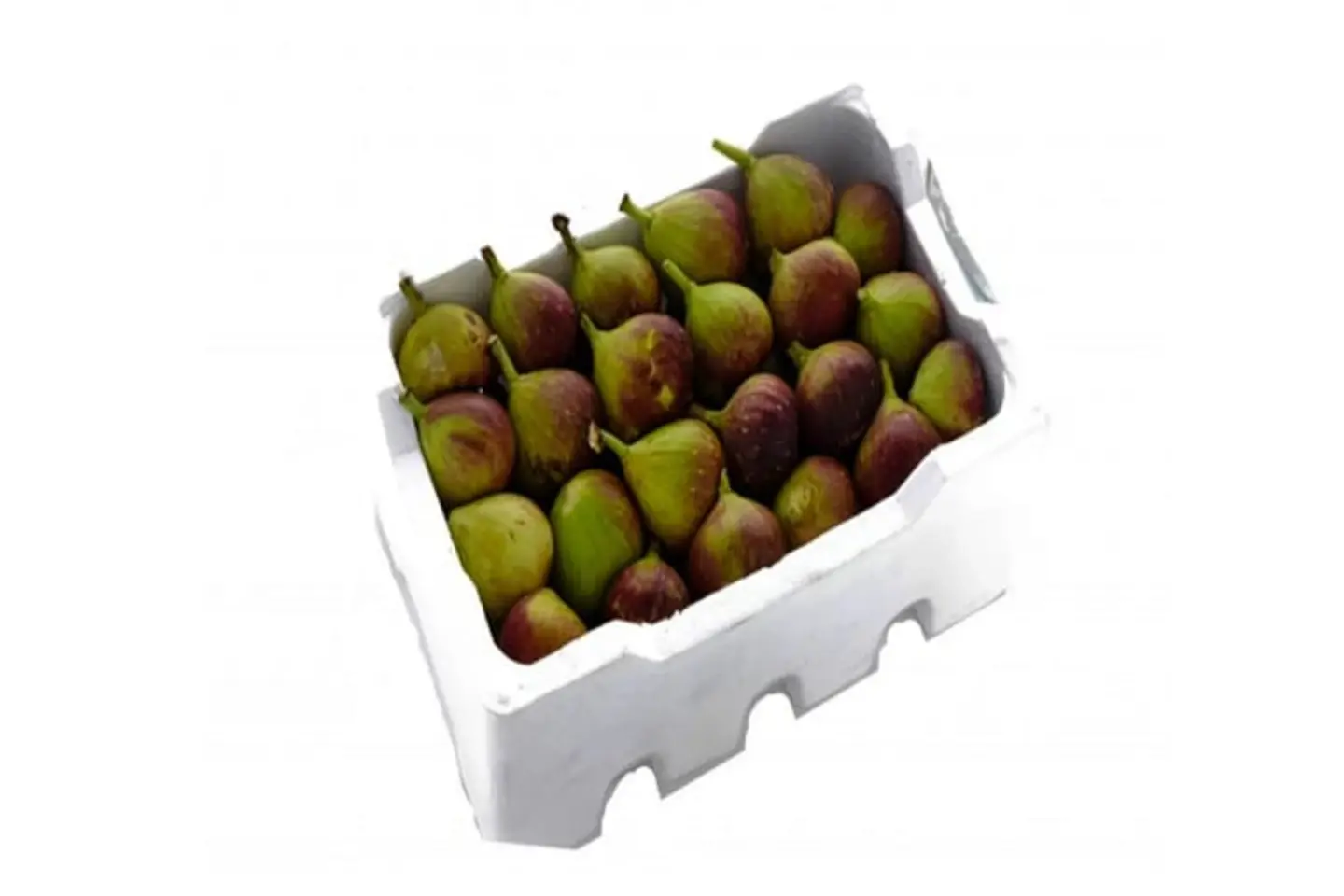 Fig