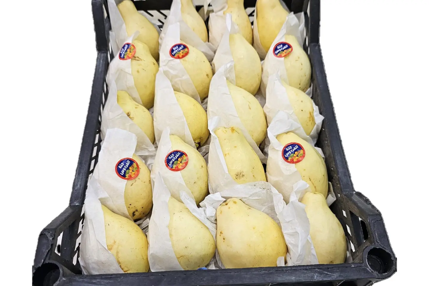 Guava