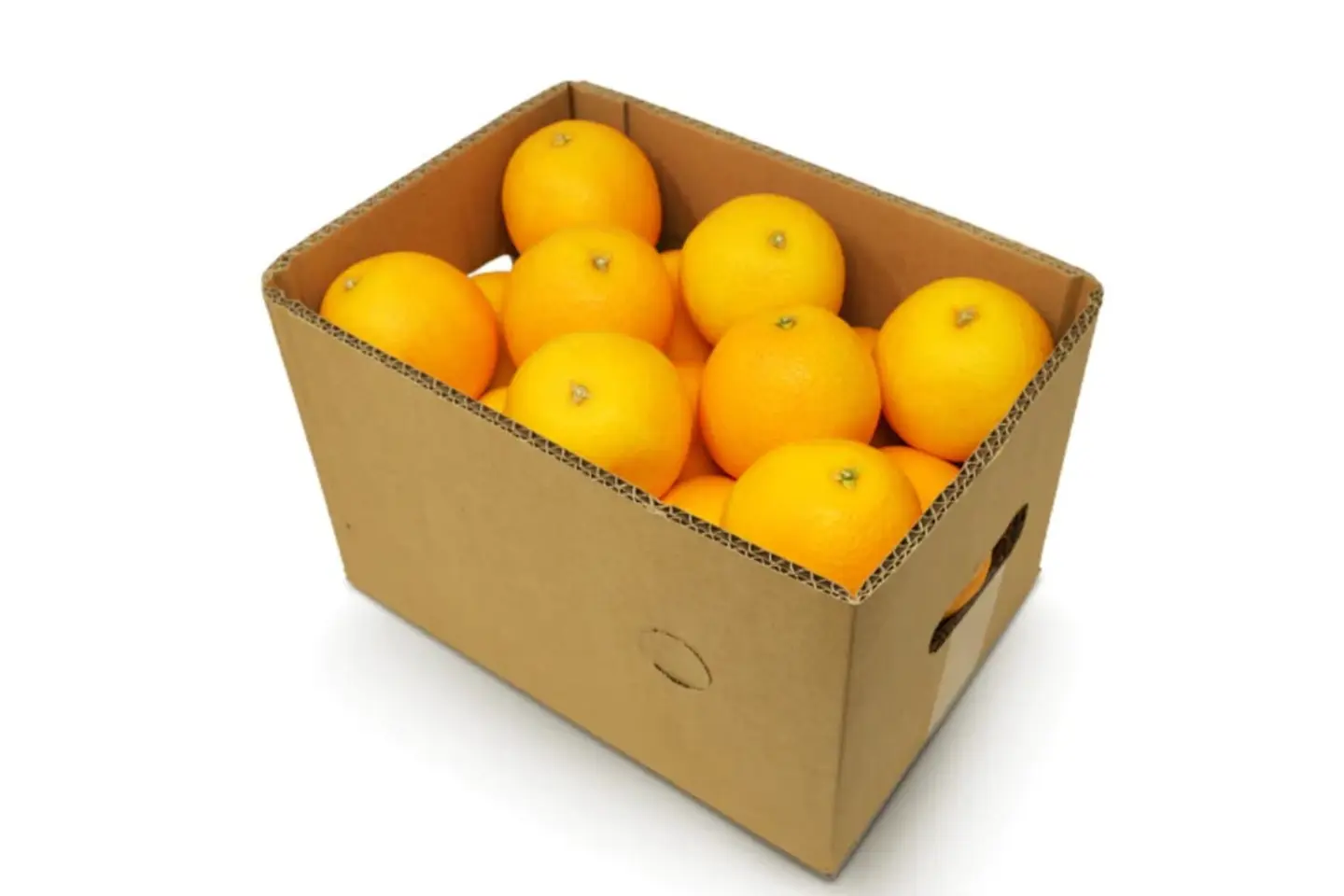 Fresh Orange