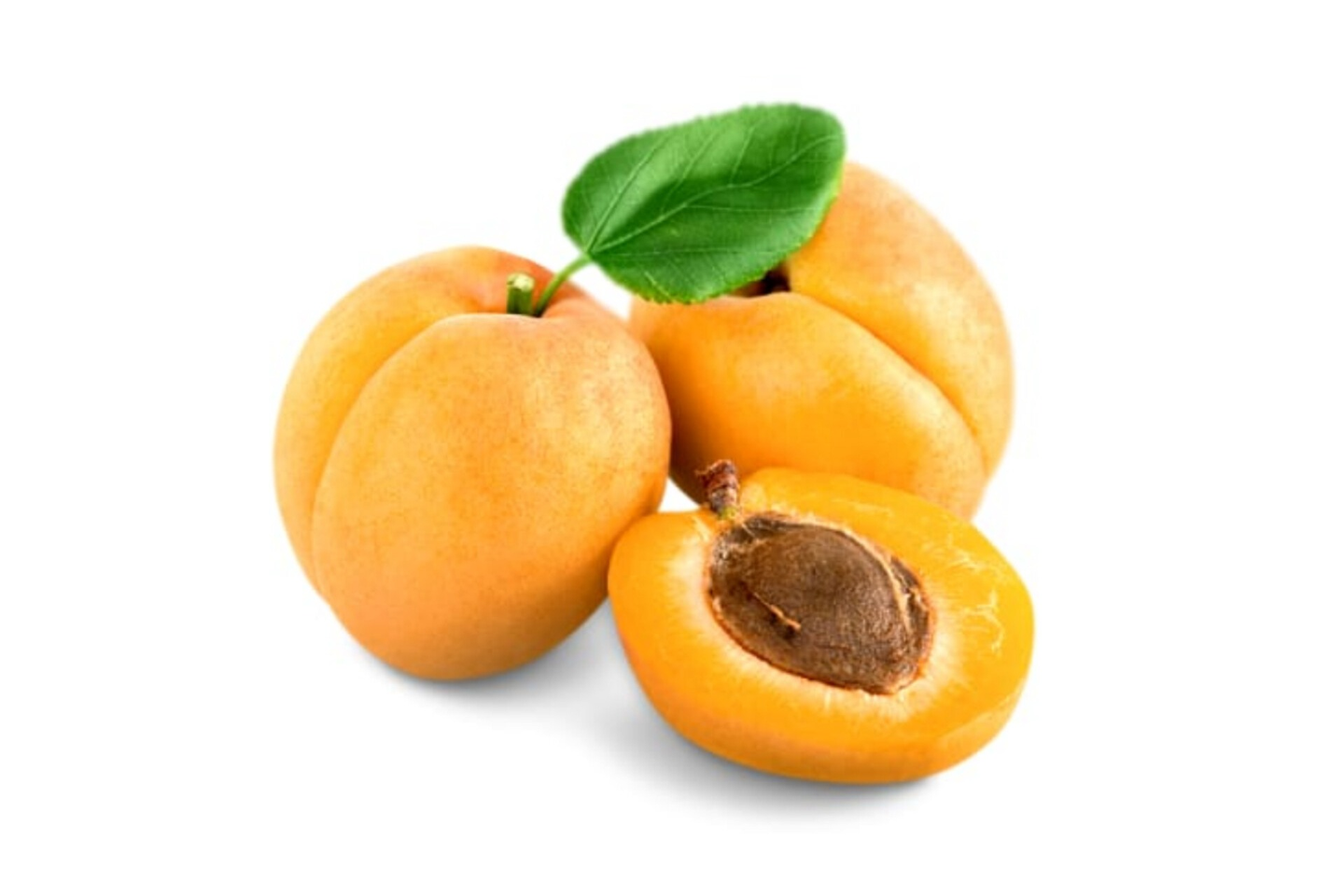 Apricot