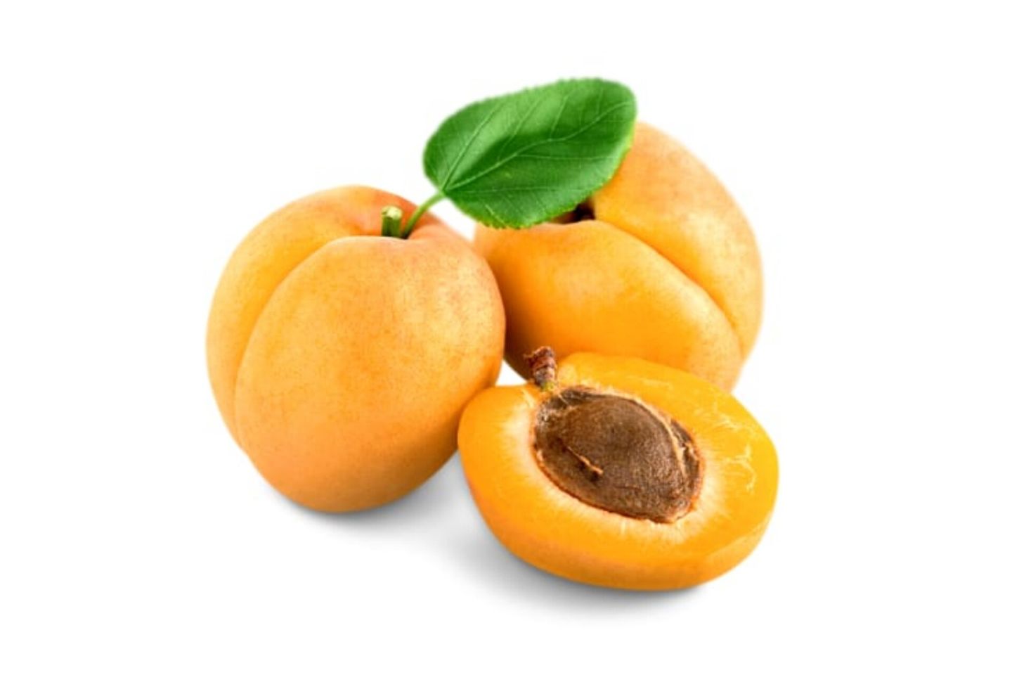 مشمش