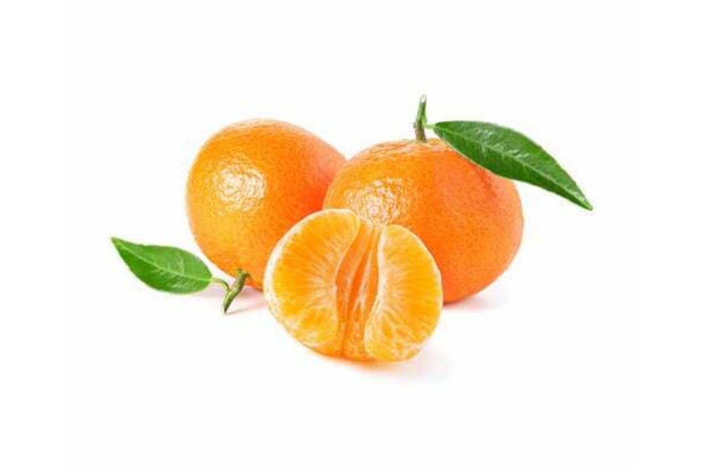 كيلو يوسف أفندي مغربي
