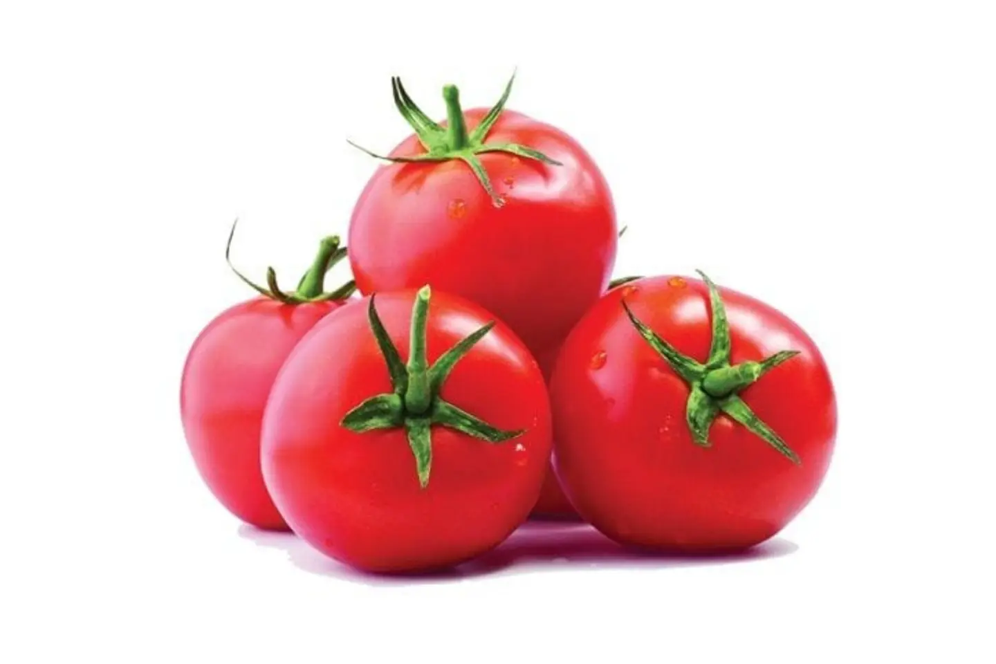 Tomato