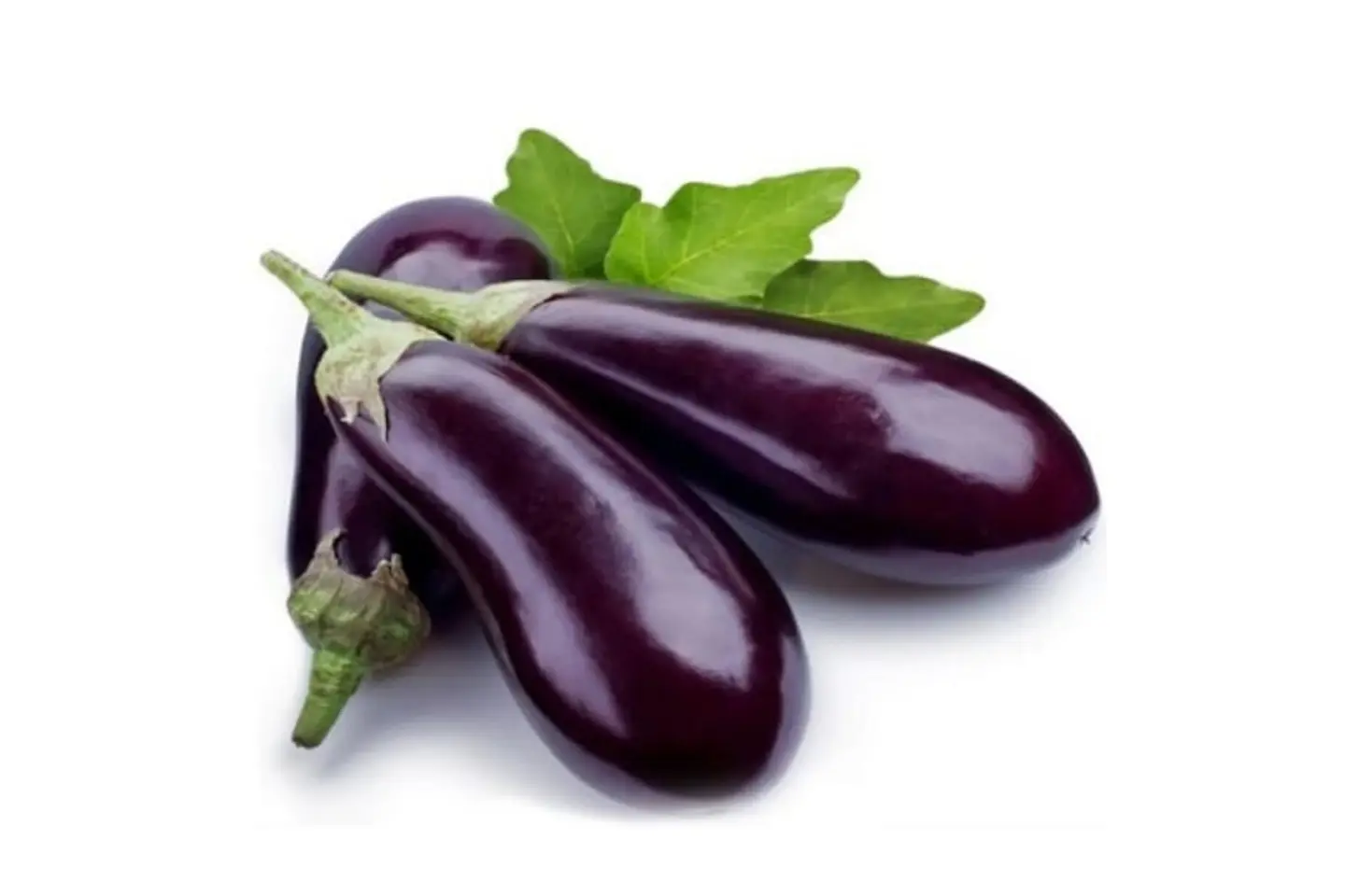 Eggplant