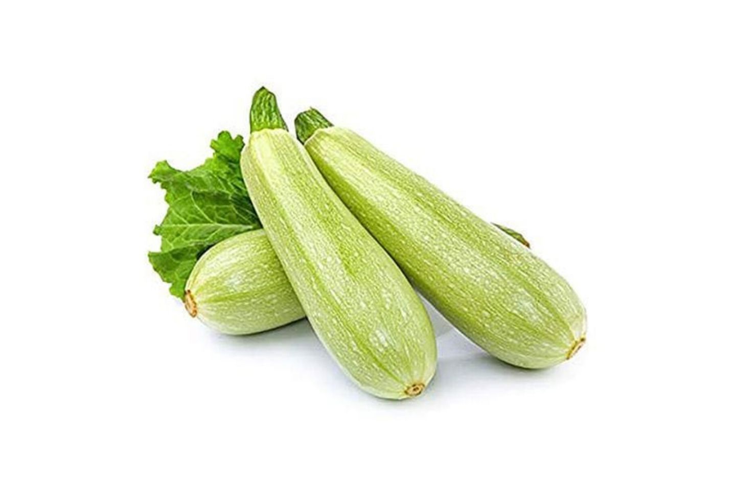 كيلو كوسه