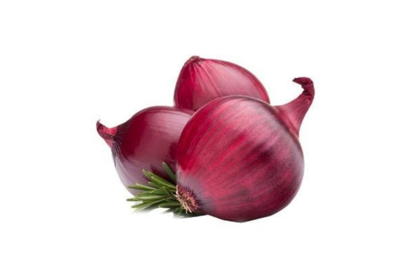 Onion