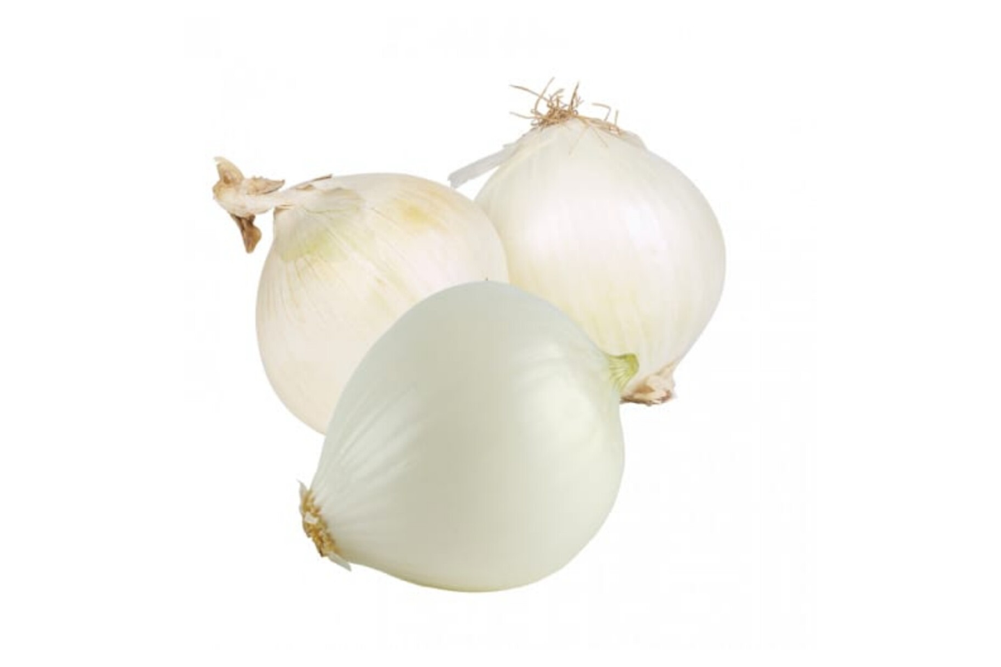 White Onion
