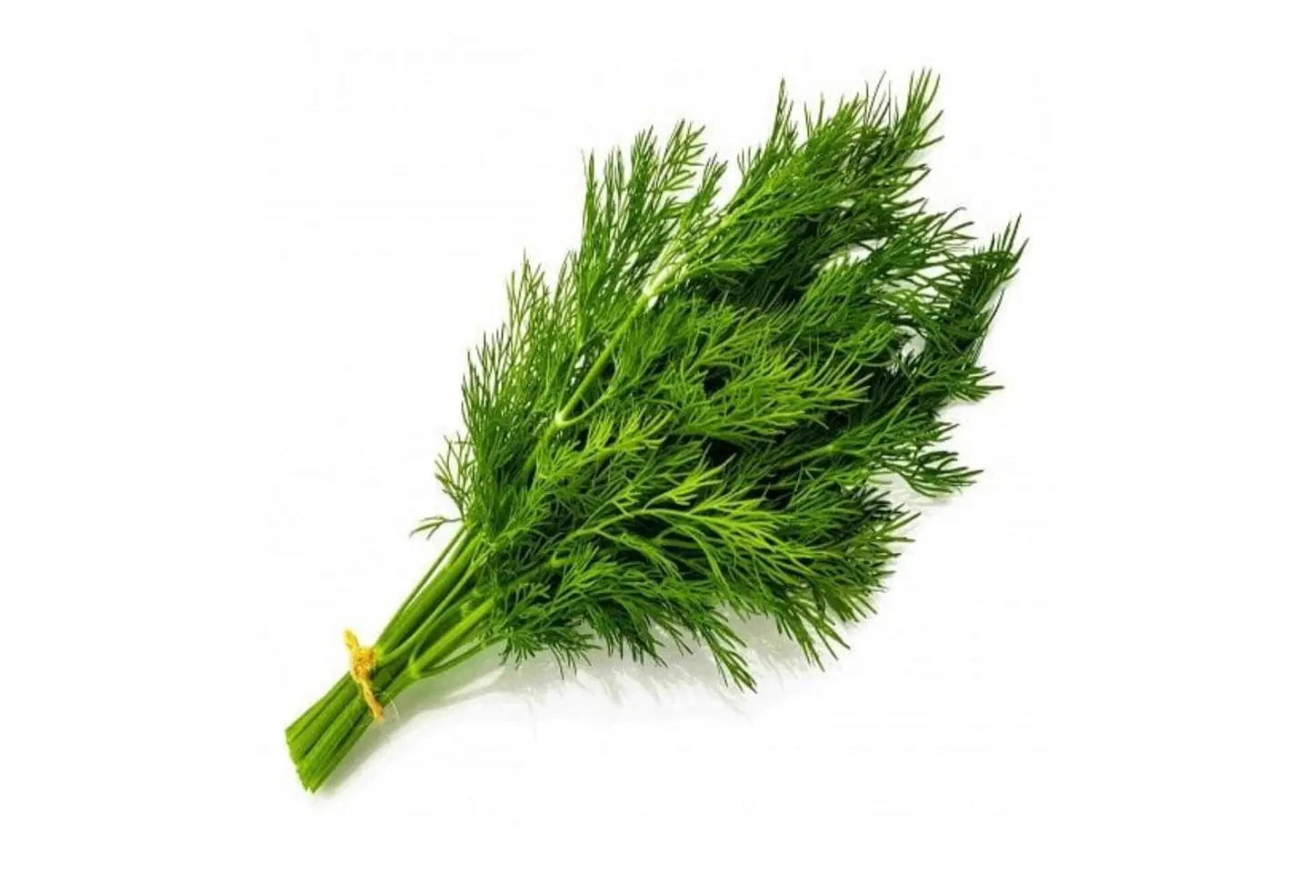 Dill
