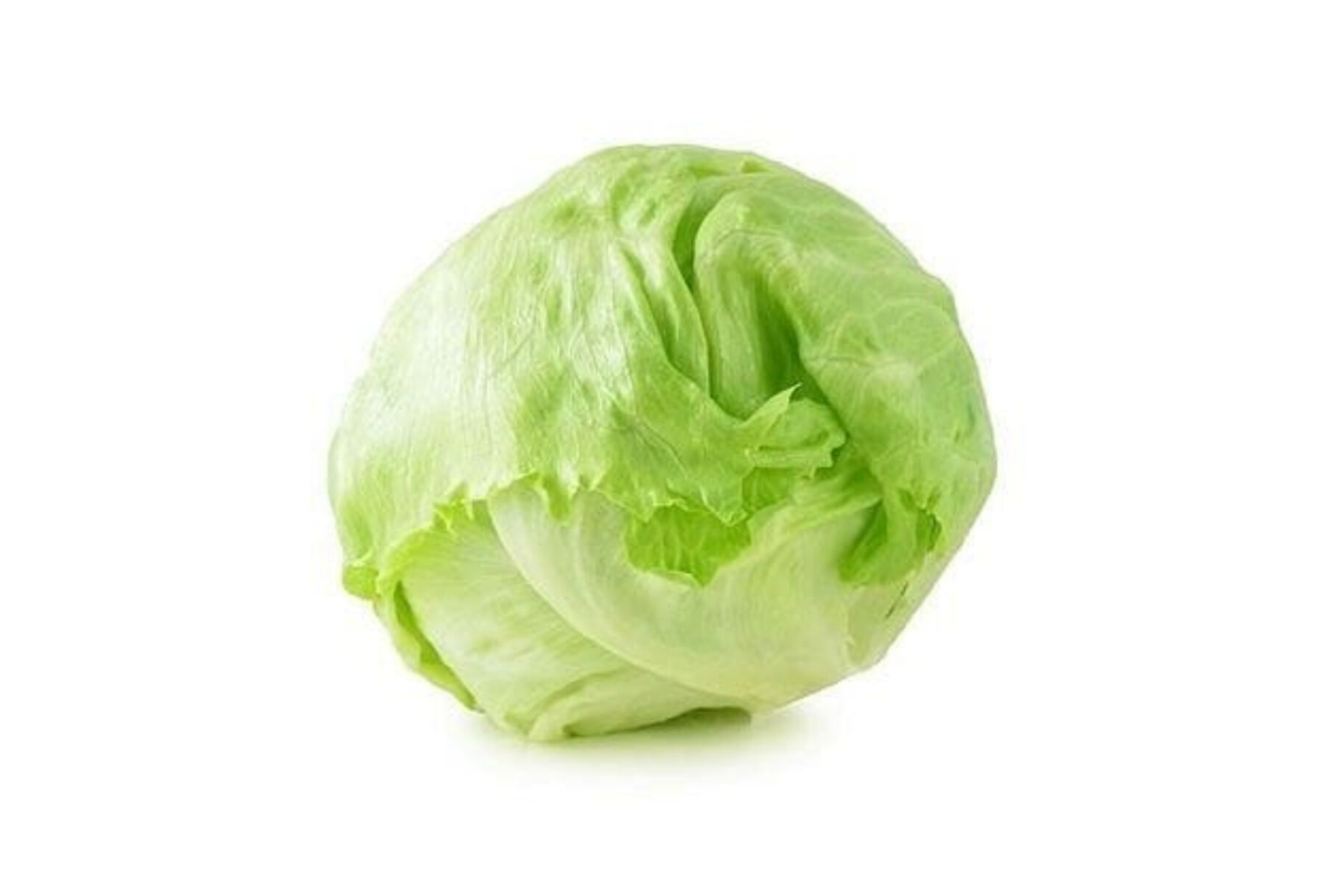 American Lettuce