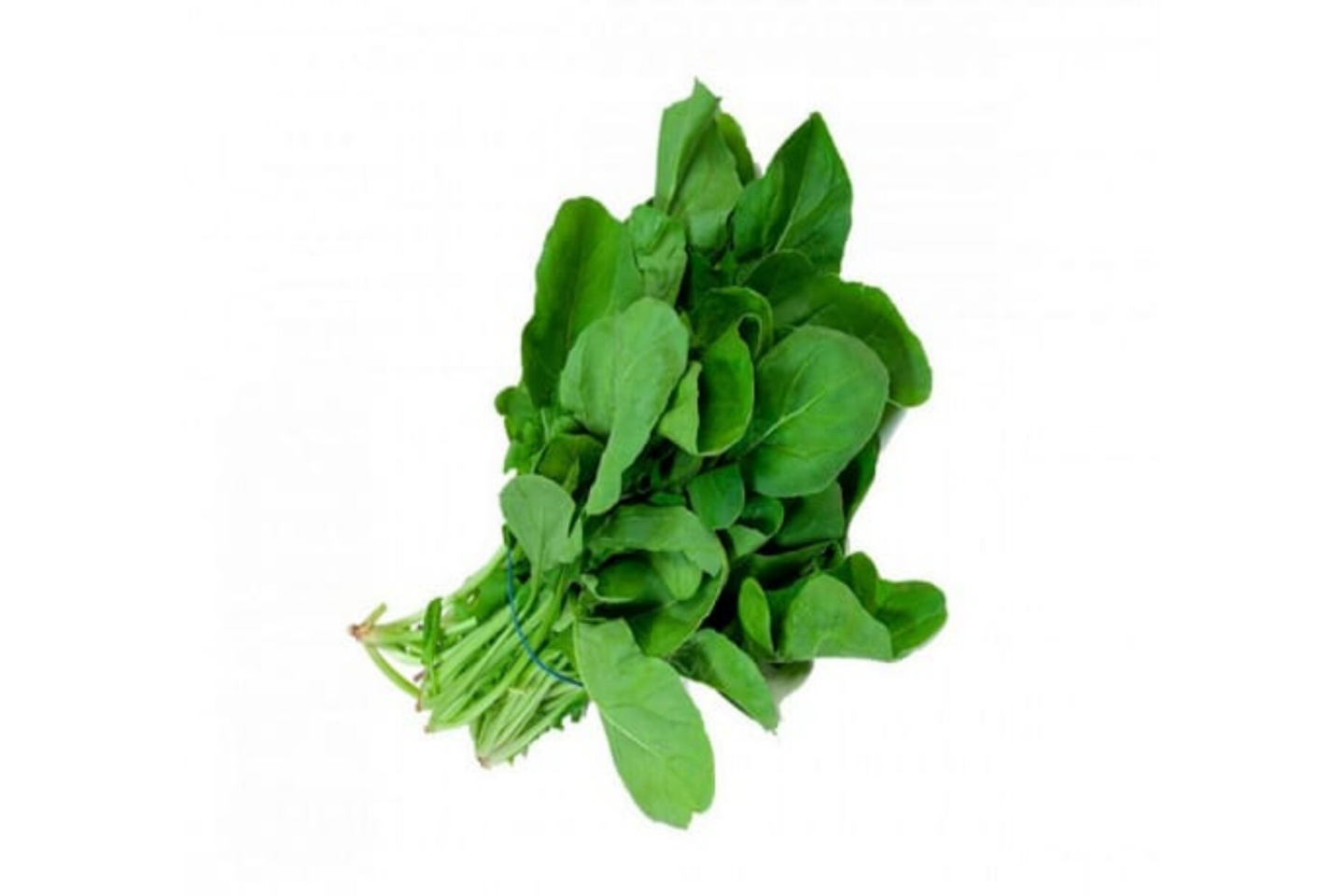 Watercress