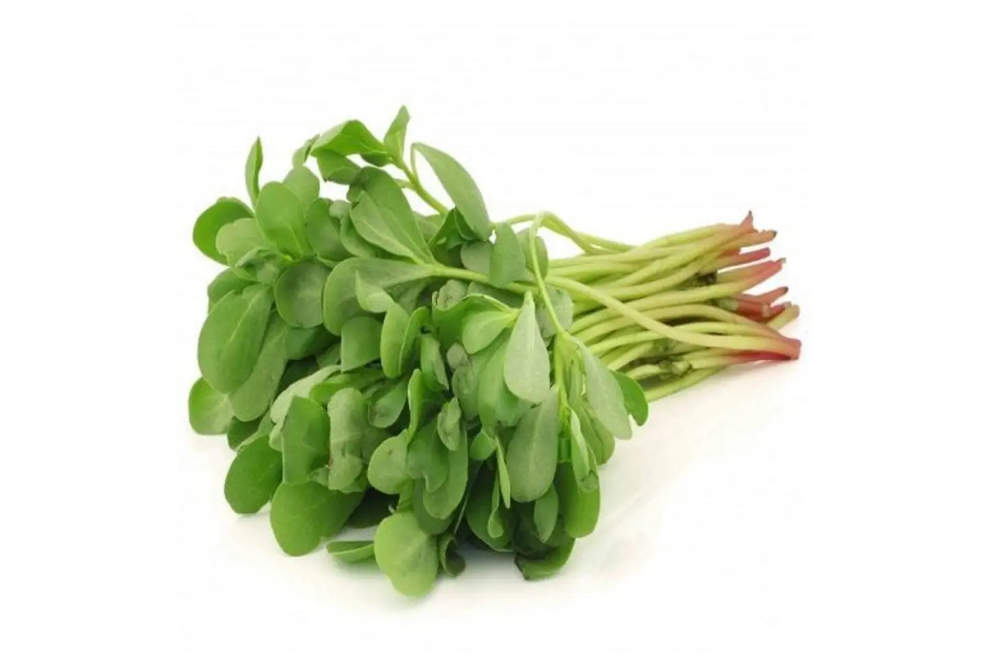 Purslane