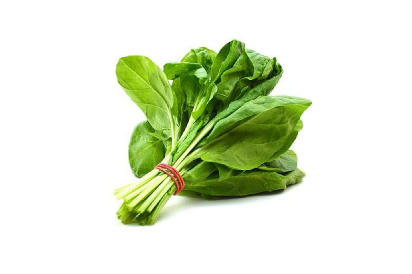 سبانخ