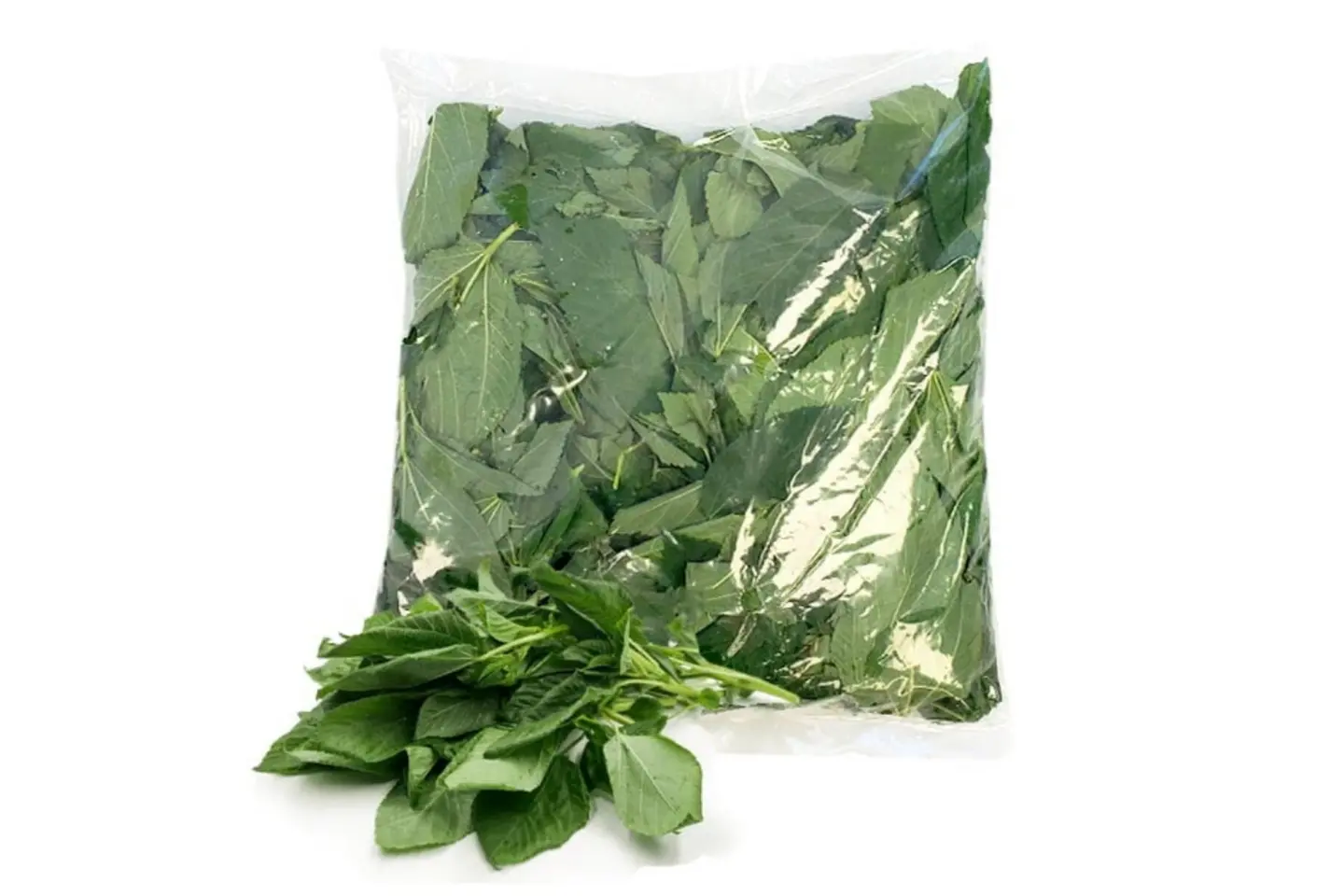 Large Picked Molokhiya