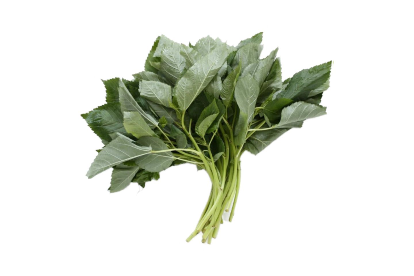 ملوخيه
