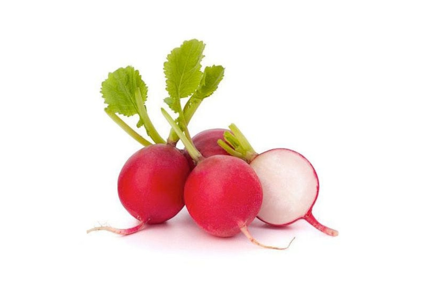 Red Radish