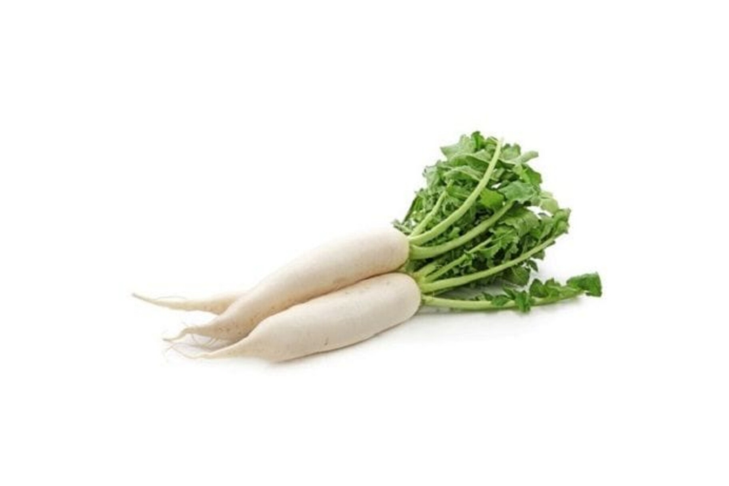 White Radish
