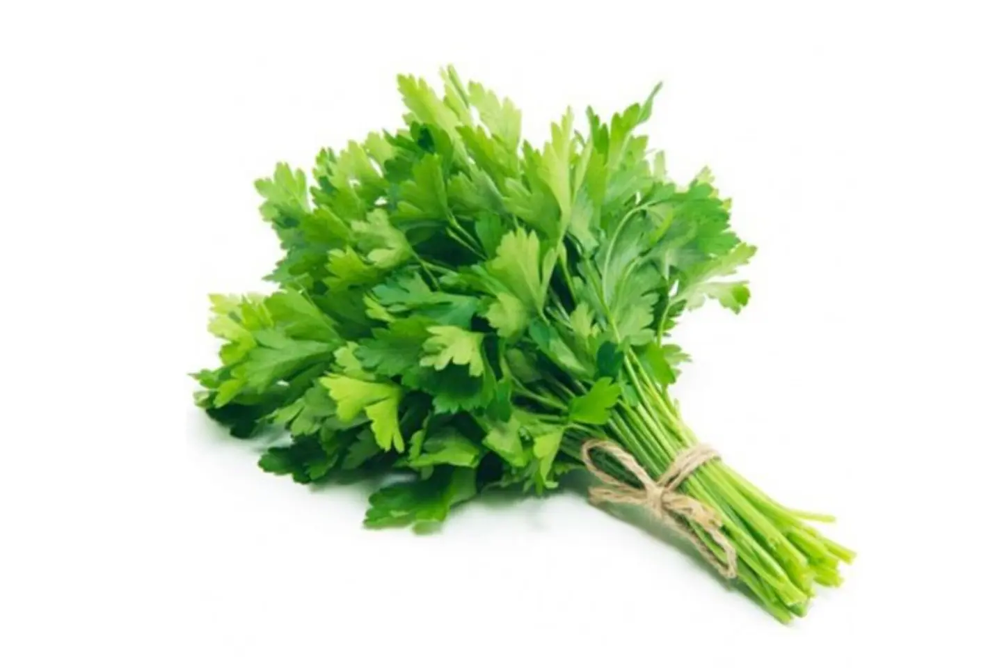Parsley
