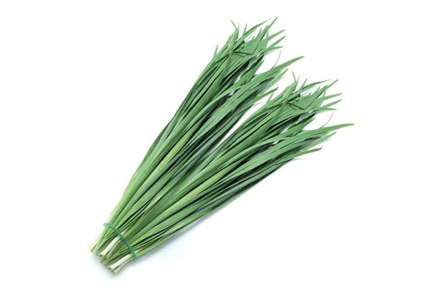 Leek
