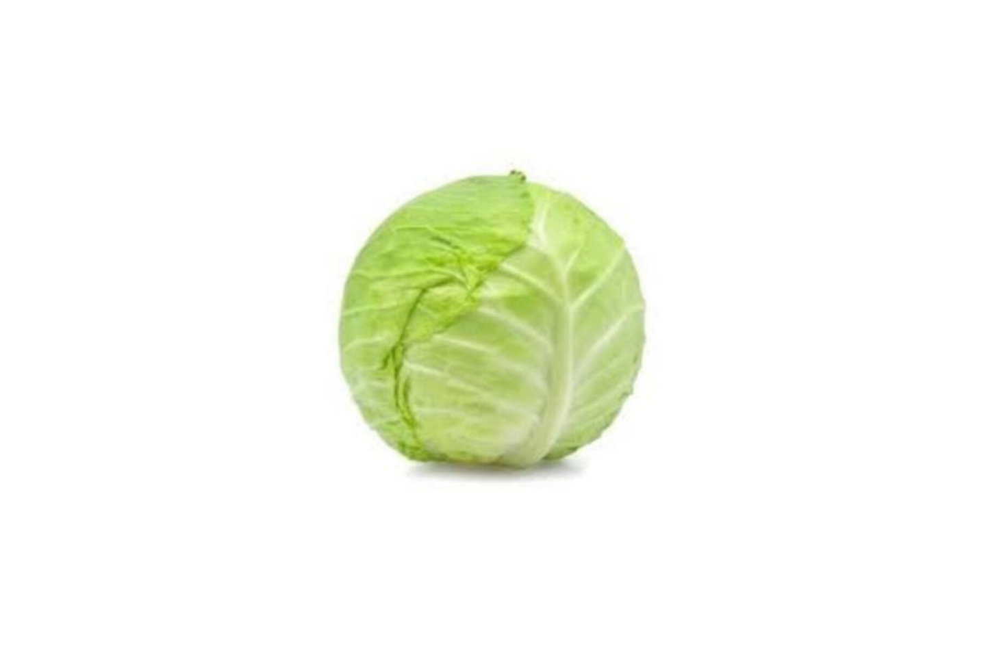 Cabbage