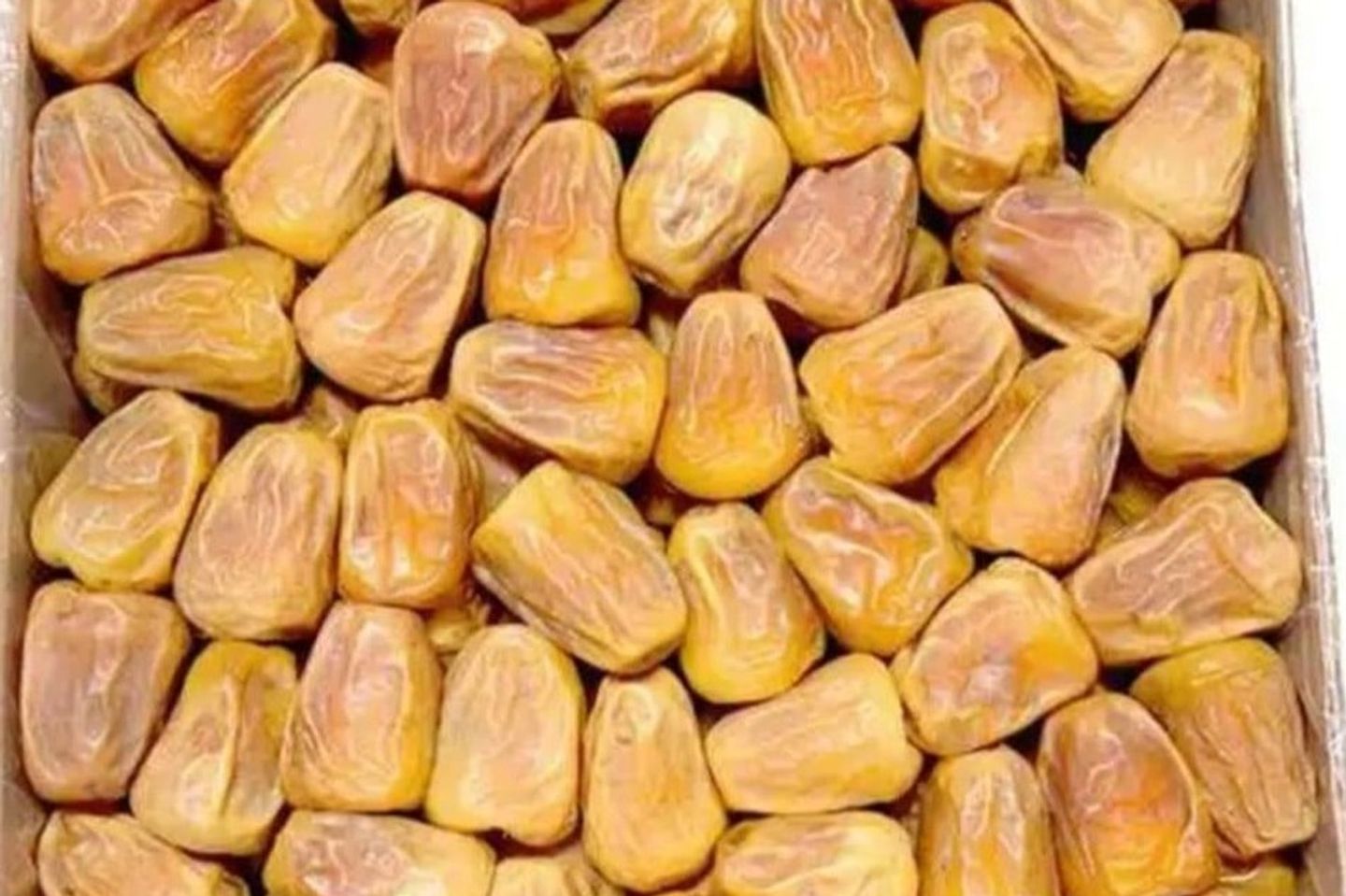 سكري جالكسي