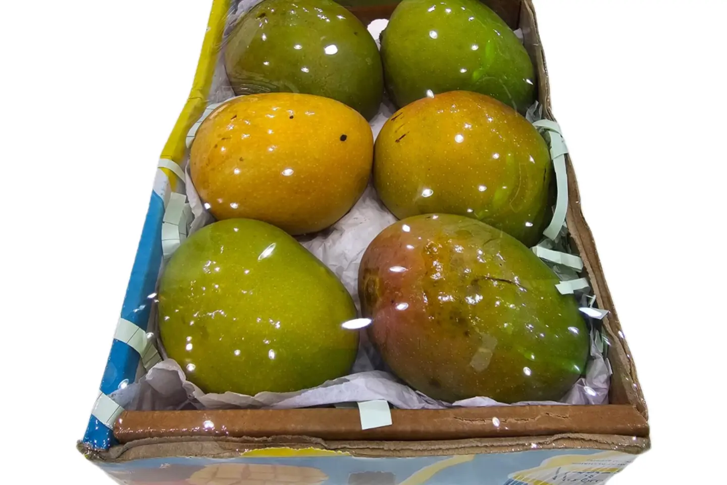 Small Alfonso Mango (Indian)