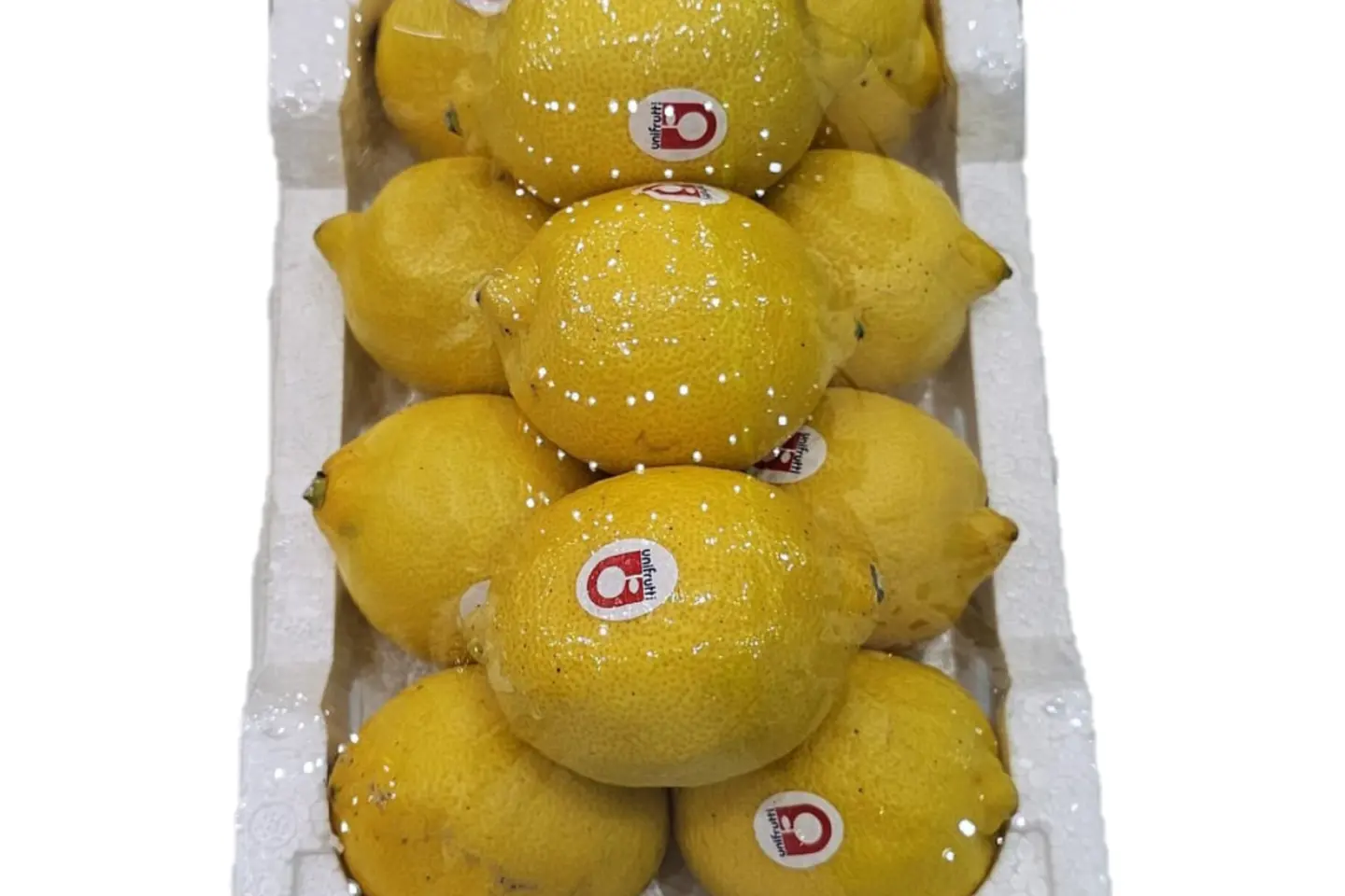Yellow Lemon Plate