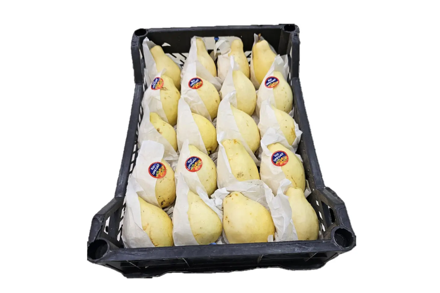 Egyptian Guava Basket