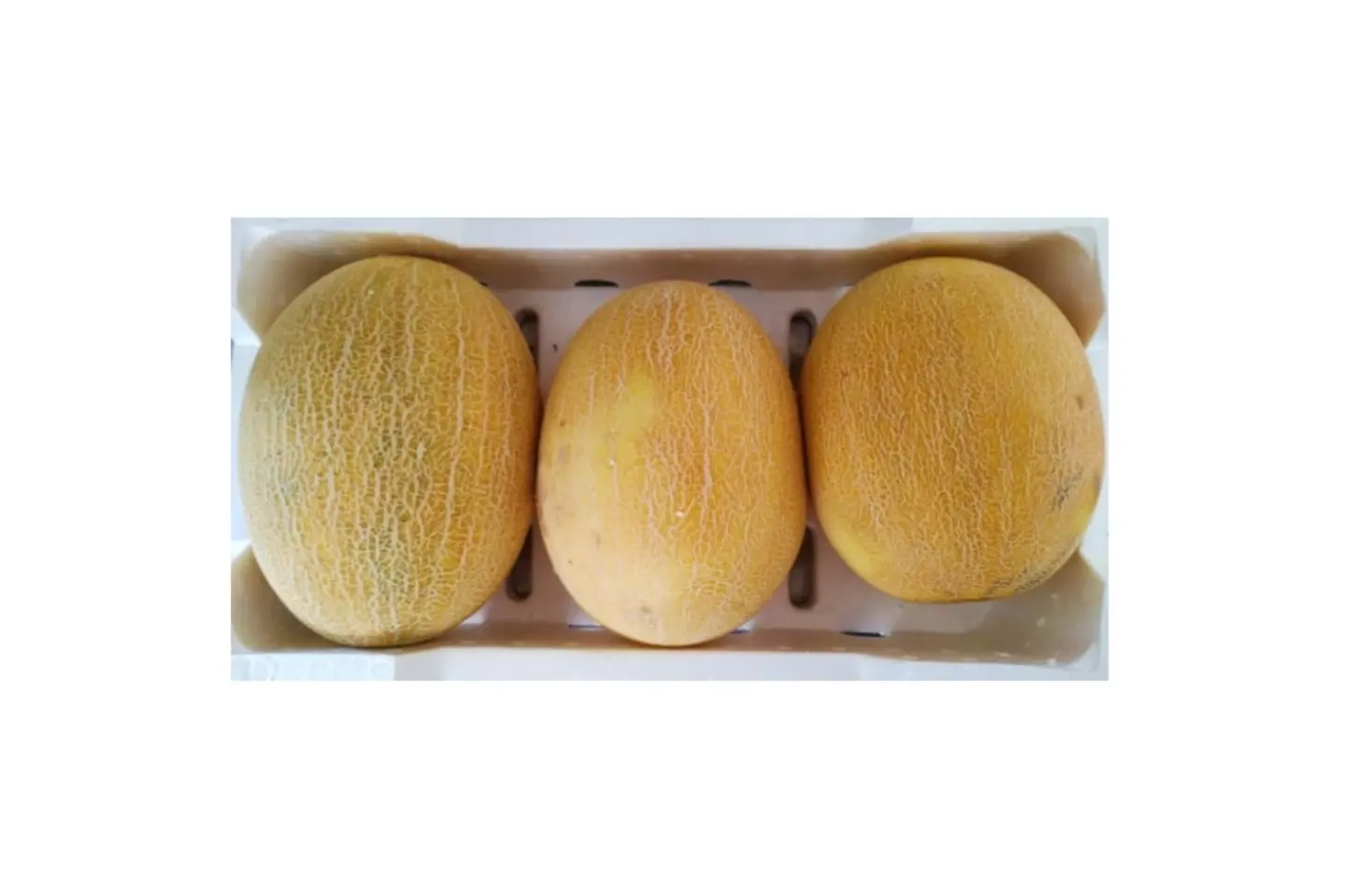 Local Sweet Melon Plate