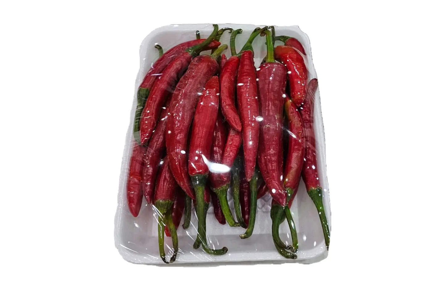 Indian Red Pepper Plate