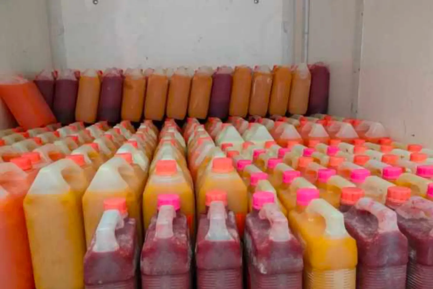 جالون مانجو