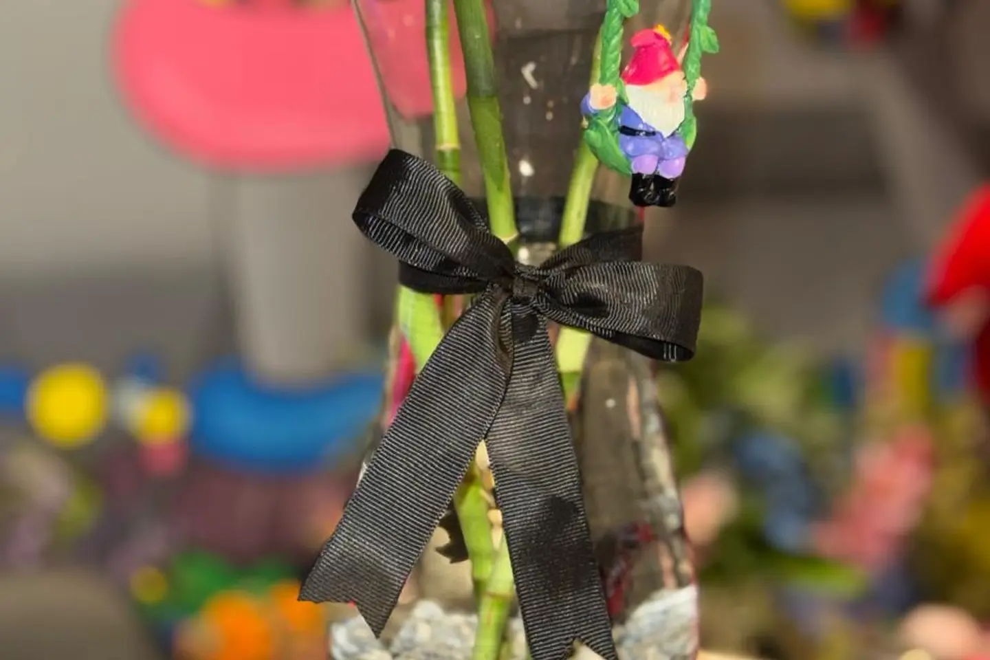 سمكة أغصان البامبو و القزم المتأرجح